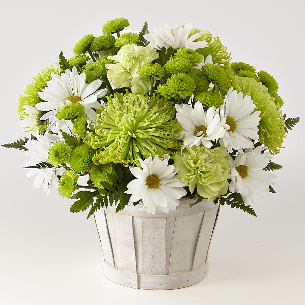 Lucky Charm Basket (Standard) – Green Room Flowers Llc, Tucson AZ