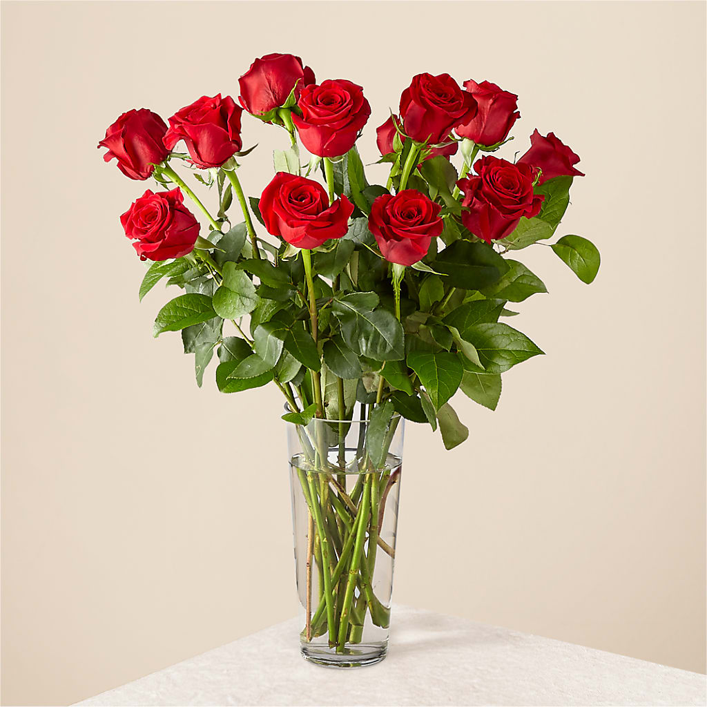 Long Stem Red Rose Bouquet – Green Room Flowers Llc, Tucson AZ