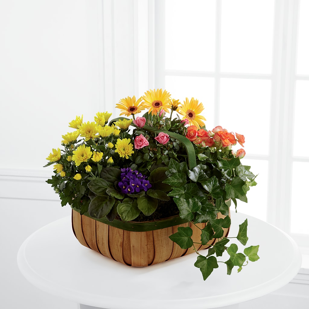 Gentle Blossoms Basket – Green Room Flowers Llc, Tucson AZ
