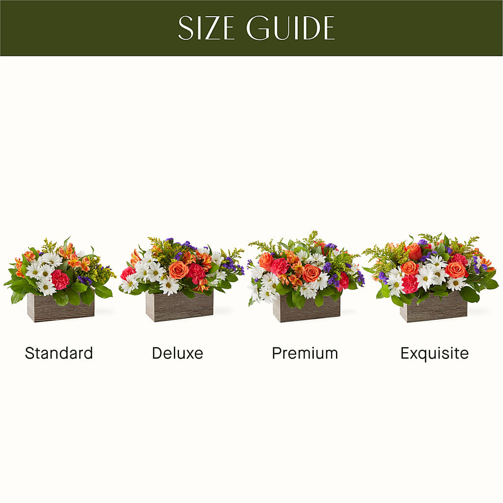 Oopsie Daisy Box Bouquet – Green Room Flowers Llc, Tucson AZ