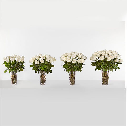 Long Stem White Rose Bouquet – Green Room Flowers Llc, Tucson AZ