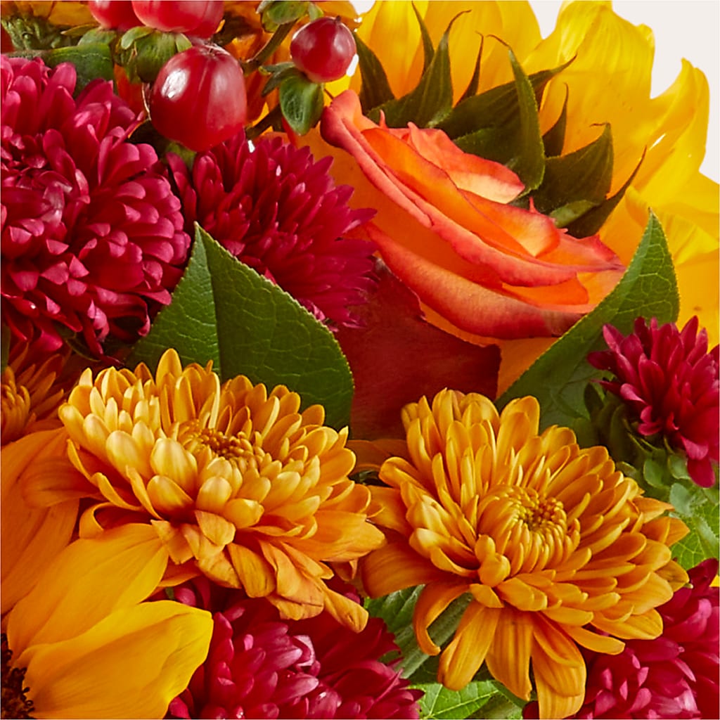 Sweater Season - A Florist Original – Green Room Flowers Llc, Tucson AZ