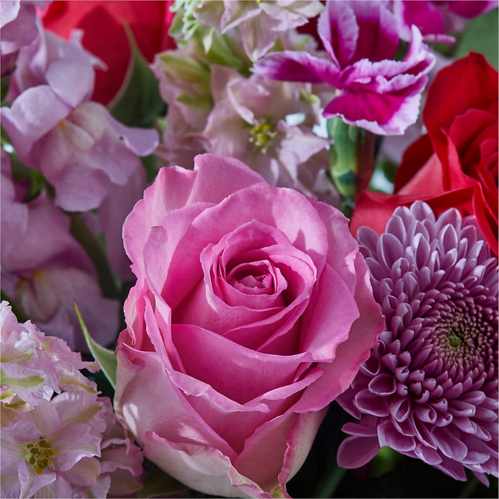 Better Together - A Luxury Florist Original – Green Room Flowers Llc, Tucson AZ