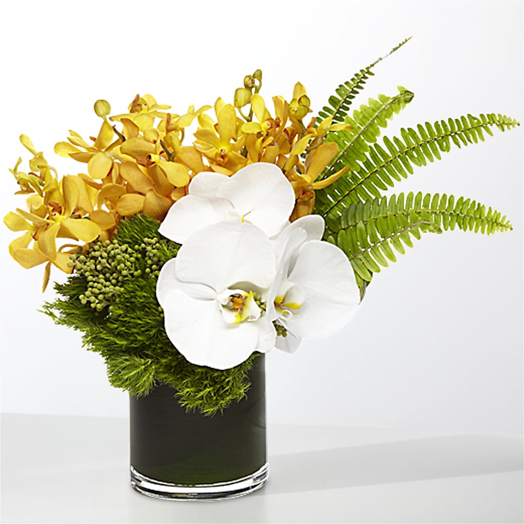 The Tropics – Green Room Flowers Llc, Tucson AZ
