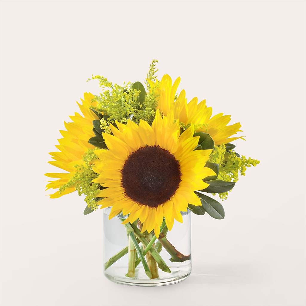 Beaming Sunflower Bouquet – Green Room Flowers Llc, Tucson AZ