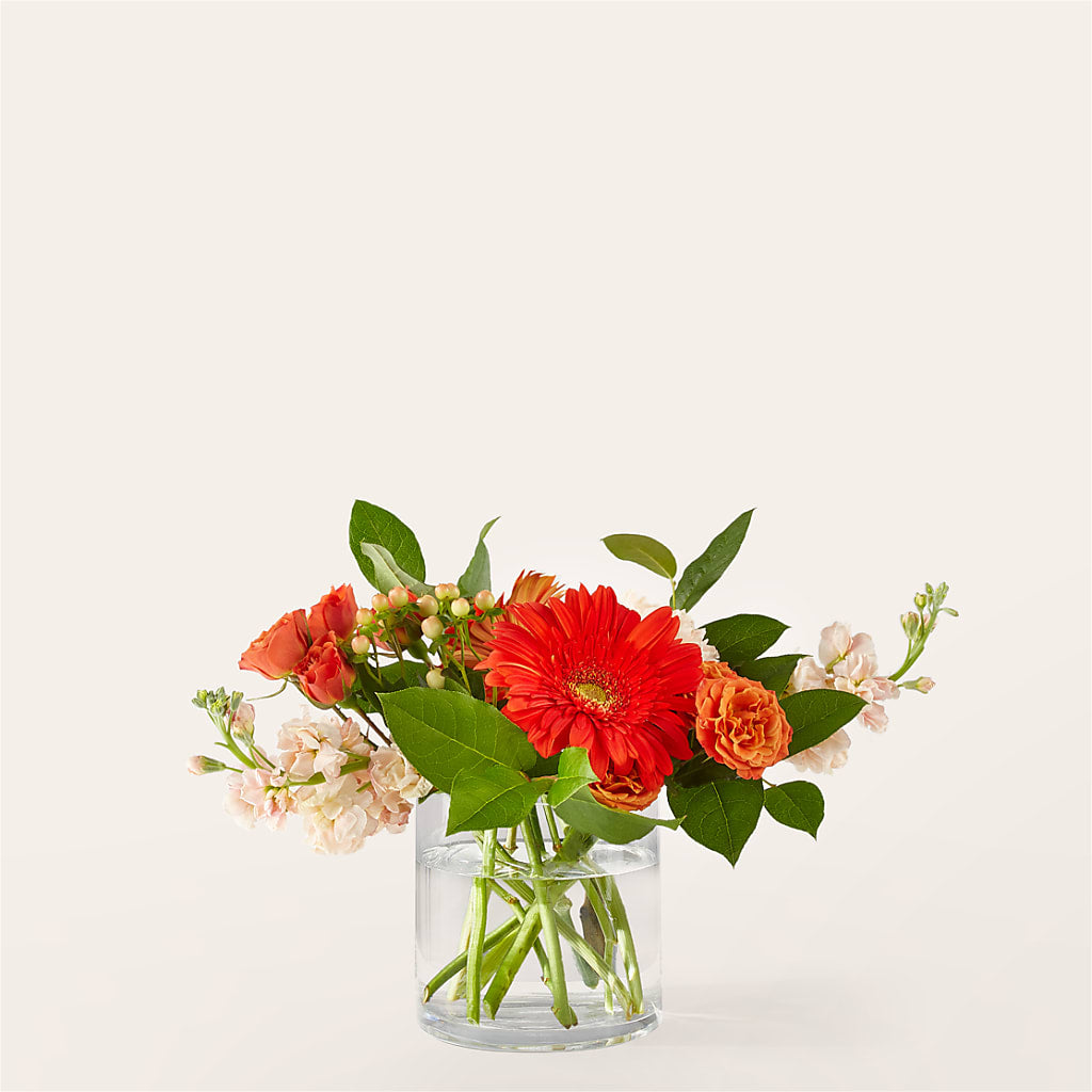 Paloma Please Bouquet – Green Room Flowers Llc, Tucson AZ