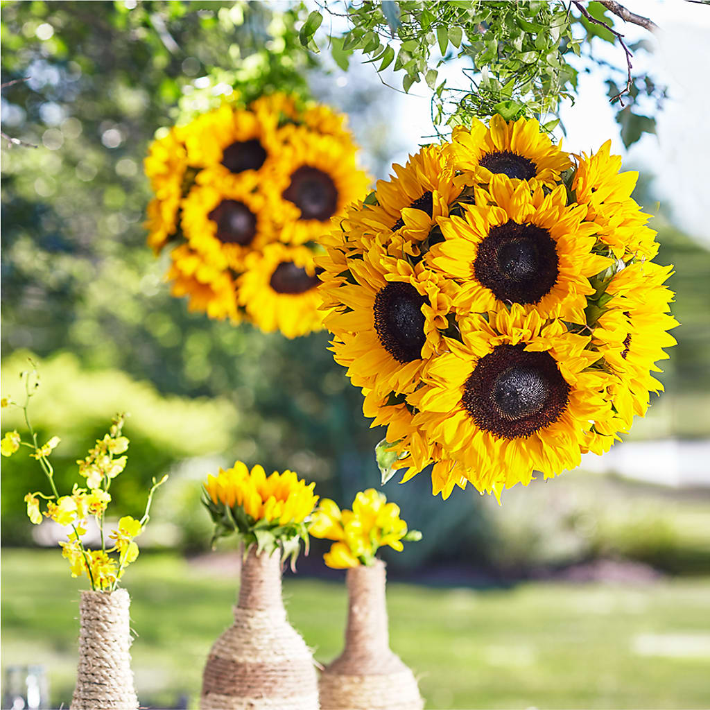 Sublime Garden Hanging Arrangement – Green Room Flowers Llc, Tucson AZ