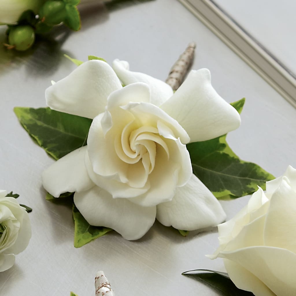 Gardenia Boutonniere – Green Room Flowers Llc, Tucson AZ