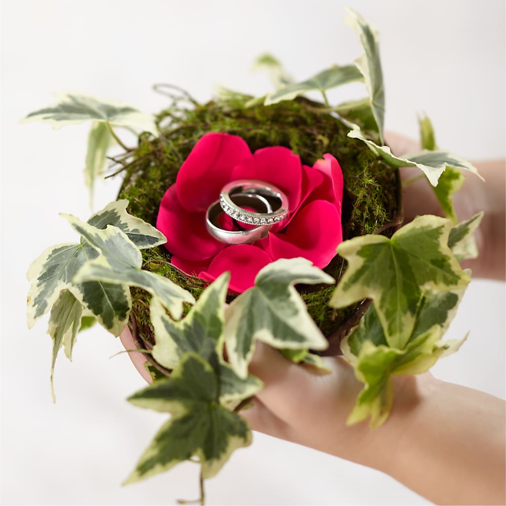 Lila Rose Ring Nest – Green Room Flowers Llc, Tucson AZ