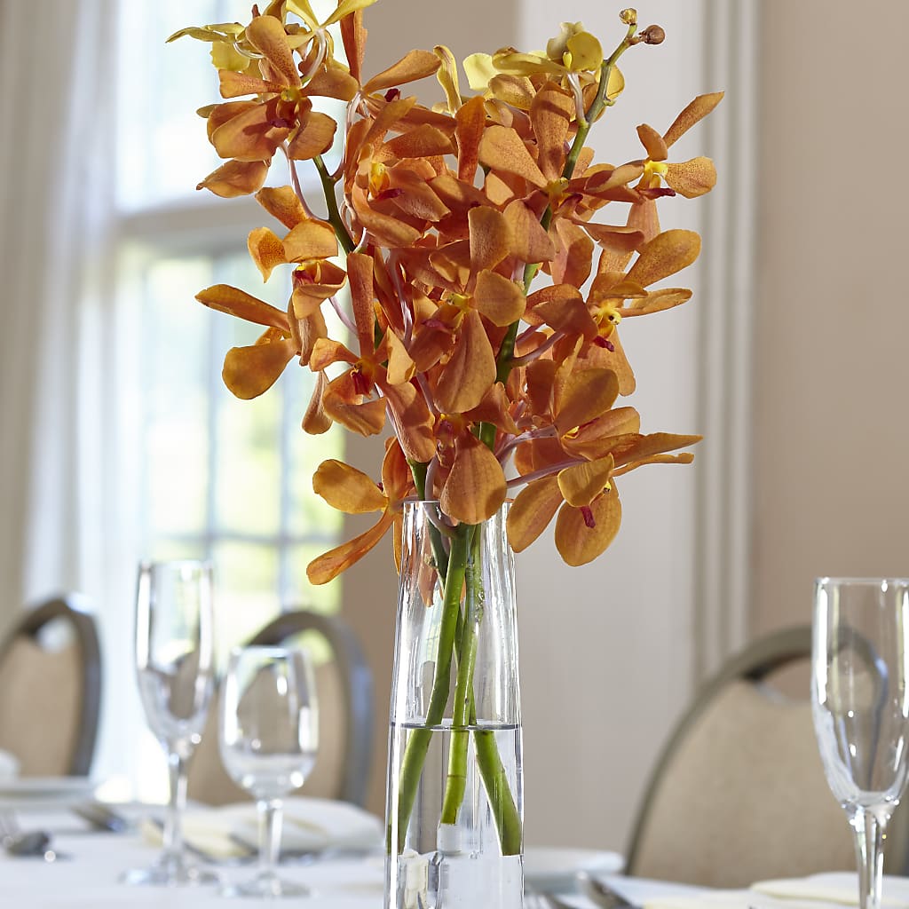 Orange Mokara Bud Vase – Green Room Flowers Llc, Tucson AZ