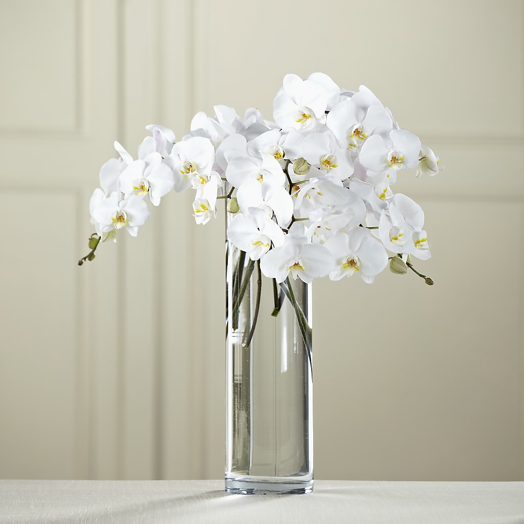 White Phalaenopsis Bouquet – Green Room Flowers Llc, Tucson AZ