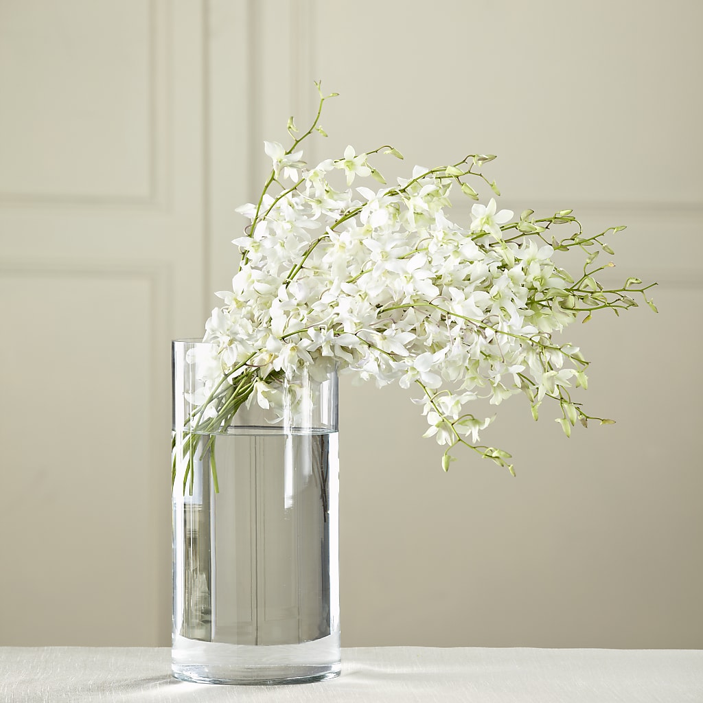 White Dendrobium Bouquet – Green Room Flowers Llc, Tucson AZ