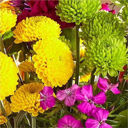Bold & Bright – A Florist Original –  Green Room Flowers Llc, Tucson AZ