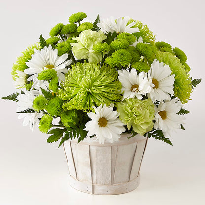 Lucky Charm Basket (Standard) –  Green Room Flowers Llc, Tucson AZ