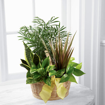 French Garden –  Green Room Flowers Llc, Tucson AZ