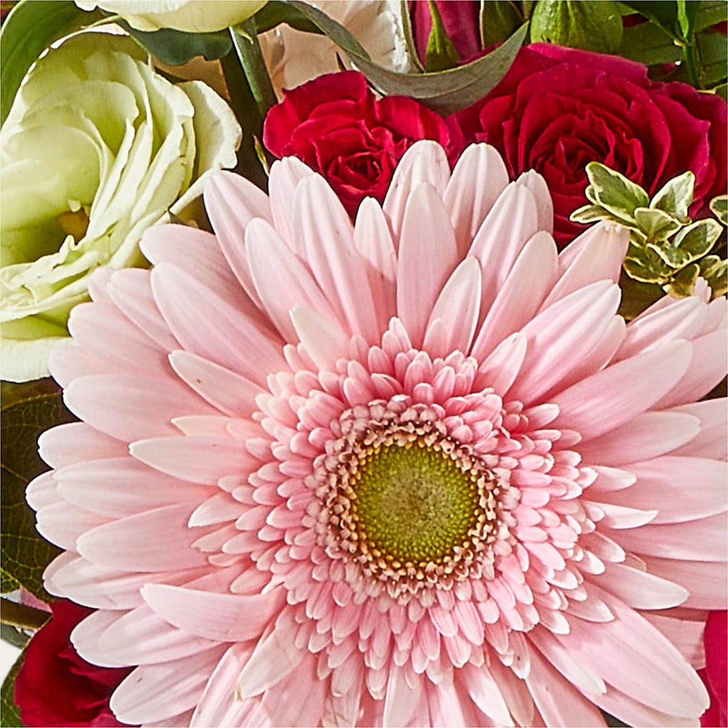 Too Cute Bouquet –  Green Room Flowers Llc, Tucson AZ
