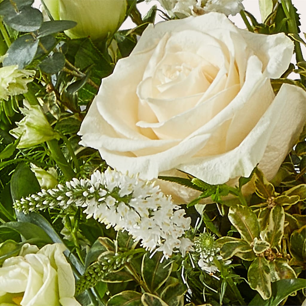 Cashmere Bouquet –  Green Room Flowers Llc, Tucson AZ