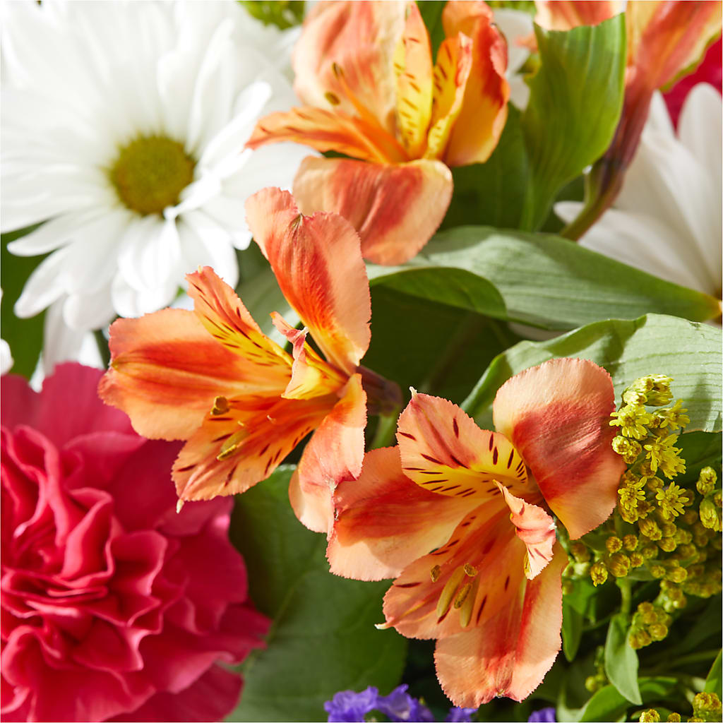 Oopsie Daisy Box Bouquet –  Green Room Flowers Llc, Tucson AZ