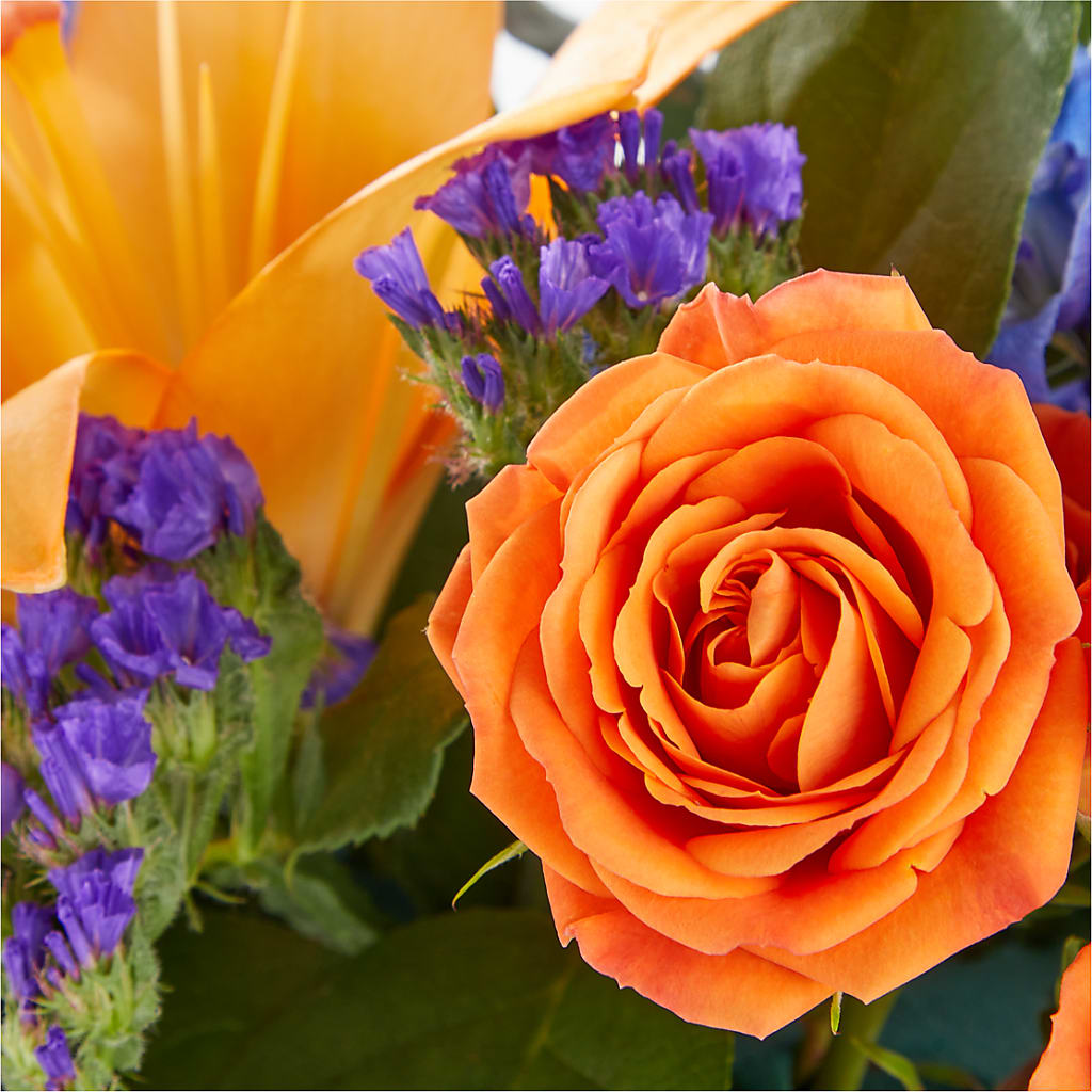 Radiant Citrus Box Bouquet –  Green Room Flowers Llc, Tucson AZ