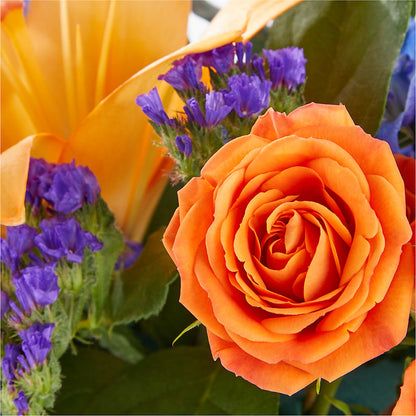 Radiant Citrus Box Bouquet –  Green Room Flowers Llc, Tucson AZ