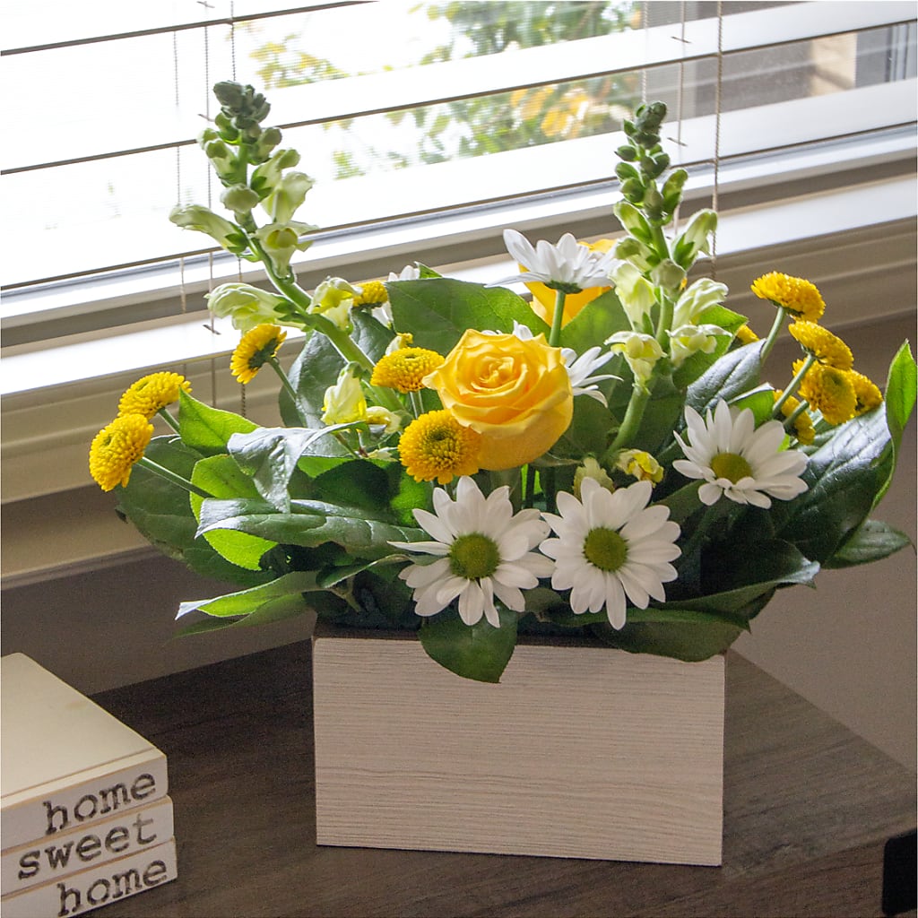Sun Salutation Box Bouquet –  Green Room Flowers Llc, Tucson AZ