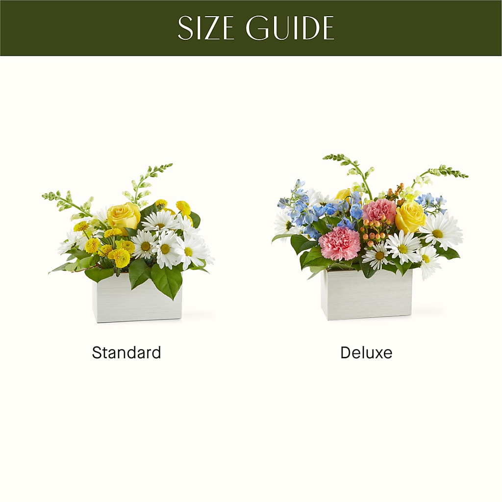Sun Salutation Box Bouquet –  Green Room Flowers Llc, Tucson AZ