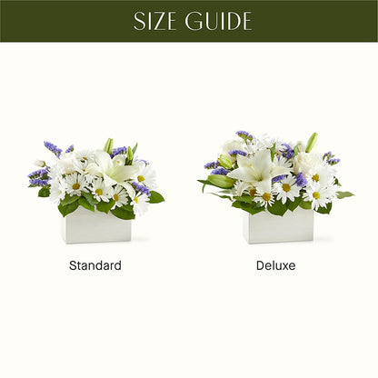 Beyond Blue Box Bouquet –  Green Room Flowers Llc, Tucson AZ
