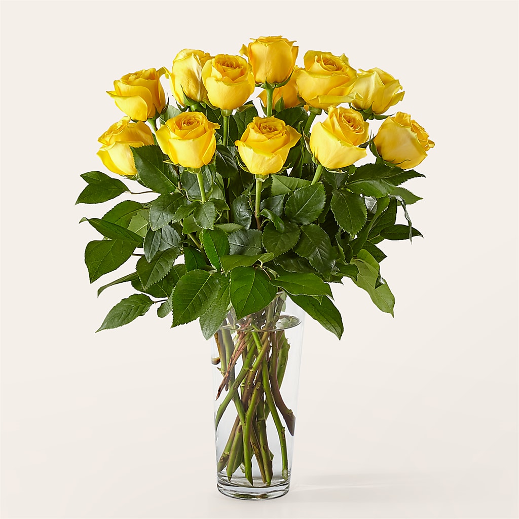 Long Stem Yellow Rose Bouquet –  Green Room Flowers Llc, Tucson AZ