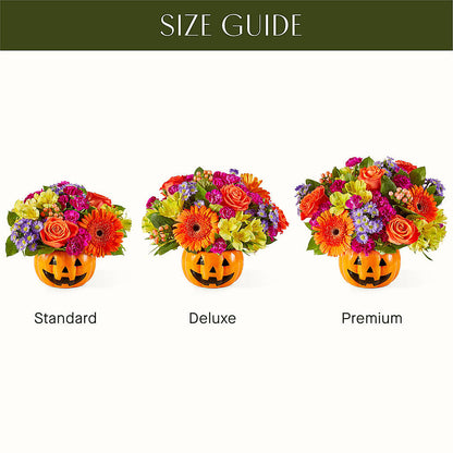 Tricks & Treats Pumpkin –  Green Room Flowers Llc, Tucson AZ
