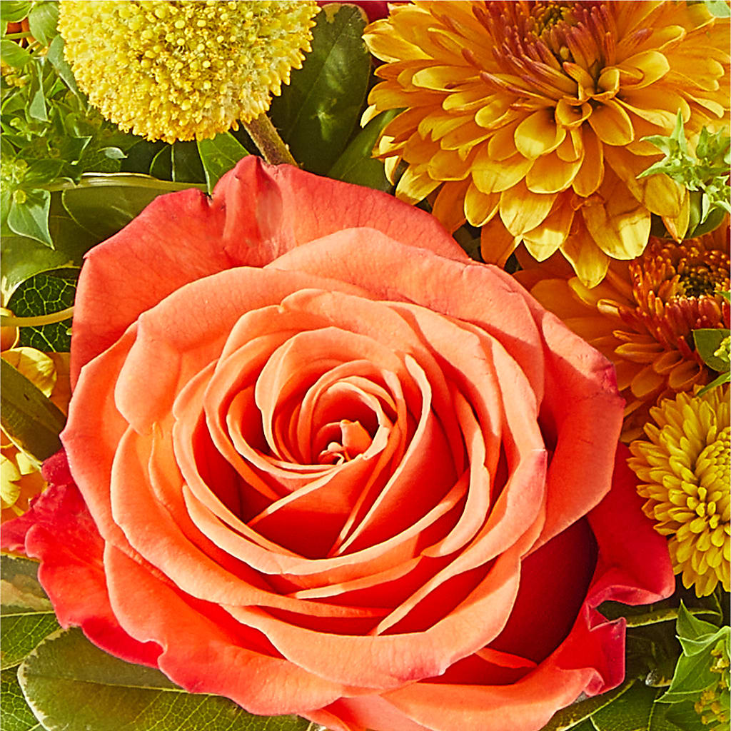 Gourdgeous Pumpkin –  Green Room Flowers Llc, Tucson AZ