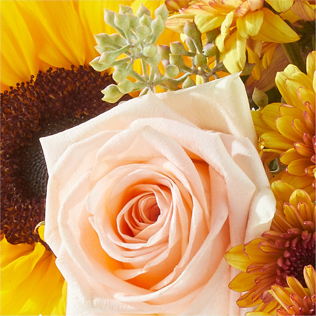 Pumpkin to Talk About Bouquet –  Green Room Flowers Llc, Tucson AZ