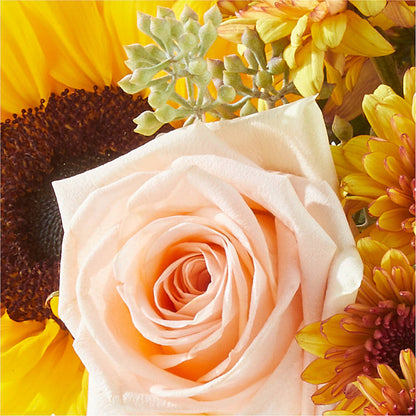 Pumpkin to Talk About Bouquet –  Green Room Flowers Llc, Tucson AZ