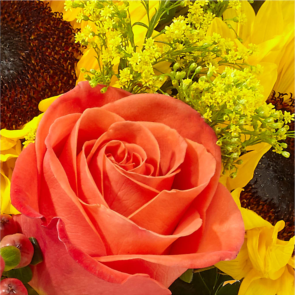 Pick of the Patch Pumpkin Bouquet –  Green Room Flowers Llc, Tucson AZ