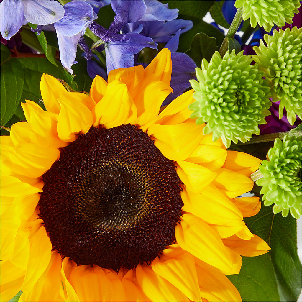 Catching Rays Bouquet –  Green Room Flowers Llc, Tucson AZ