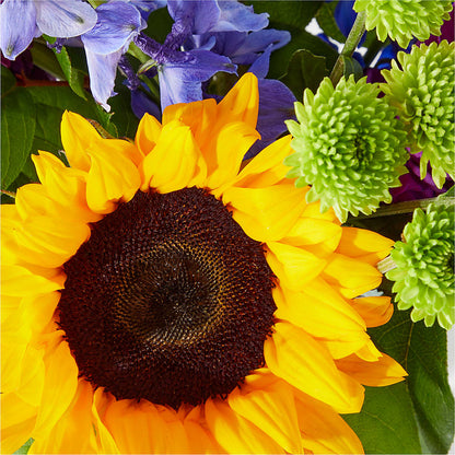 Catching Rays Bouquet –  Green Room Flowers Llc, Tucson AZ