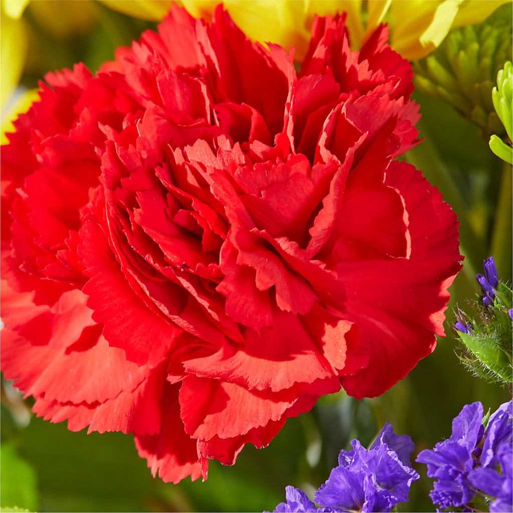 Brighter Days Bouquet –  Green Room Flowers Llc, Tucson AZ