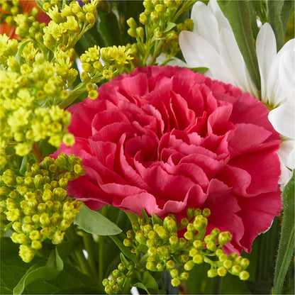 Oopsie Daisy Bouquet –  Green Room Flowers Llc, Tucson AZ