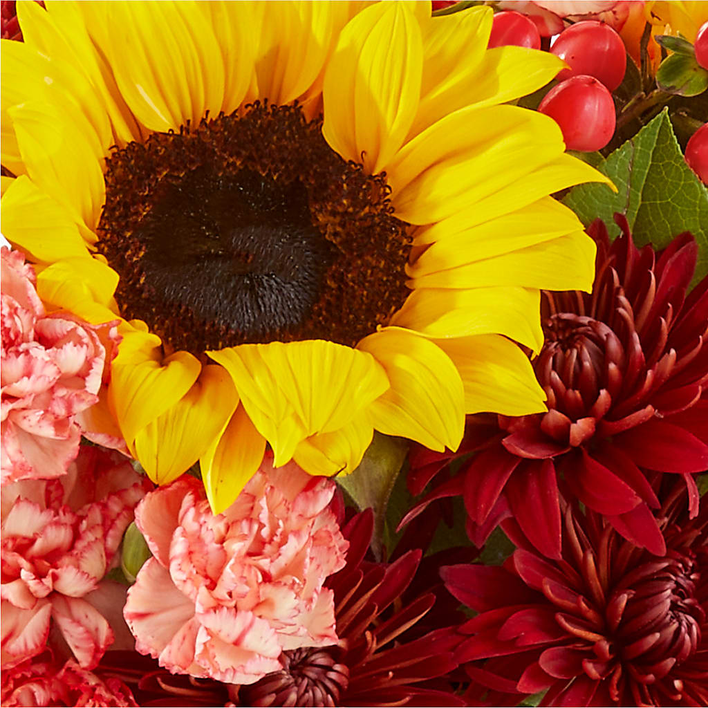 Fresh Cider Bouquet –  Green Room Flowers Llc, Tucson AZ