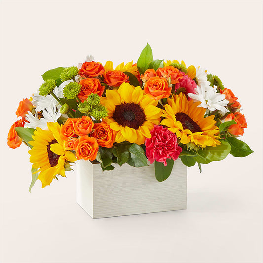 Sun-drenched Blooms Box Bouquet –  Green Room Flowers Llc, Tucson AZ