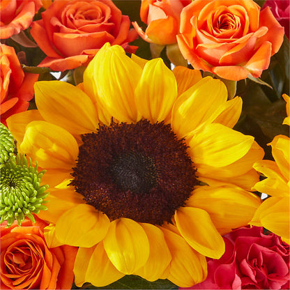 Sun-drenched Blooms Box Bouquet –  Green Room Flowers Llc, Tucson AZ