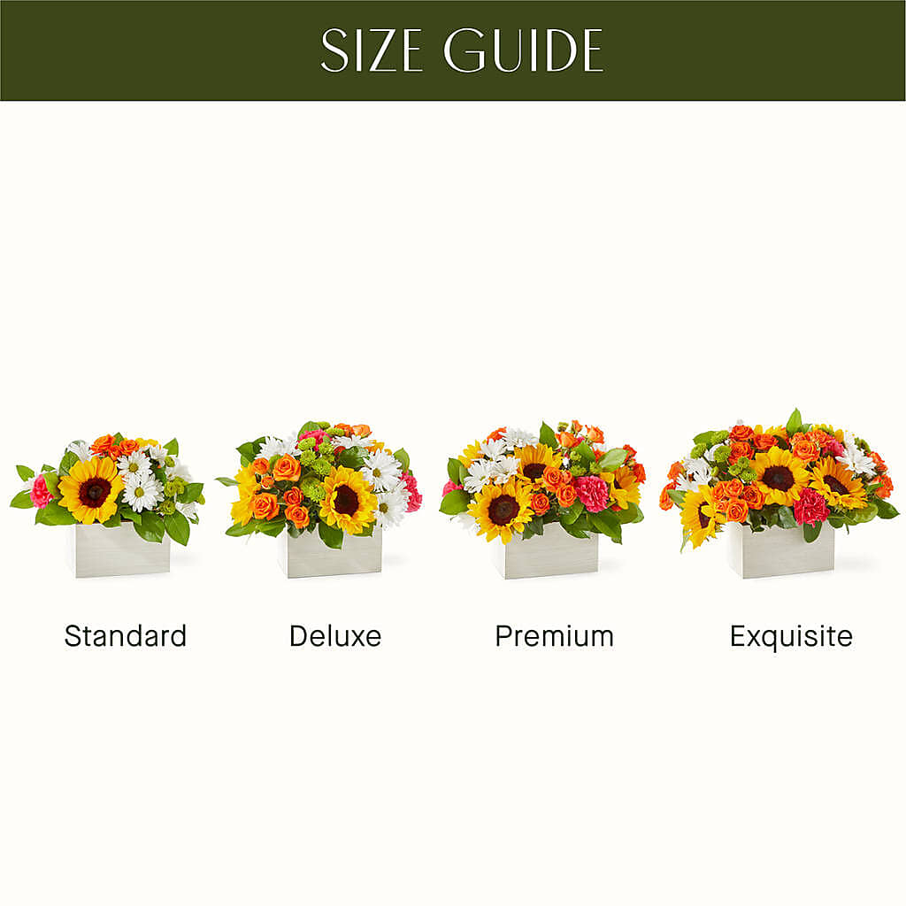 Sun-drenched Blooms Box Bouquet –  Green Room Flowers Llc, Tucson AZ