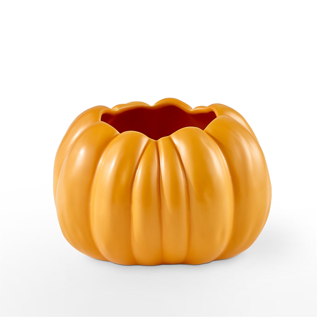 Pick of the Patch Pumpkin Bouquet –  Green Room Flowers Llc, Tucson AZ