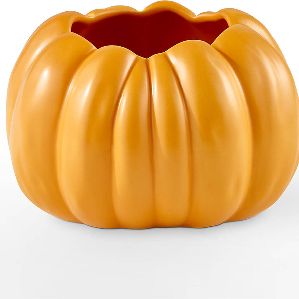 Golden Gourd Pumpkin Bouquet –  Green Room Flowers Llc, Tucson AZ