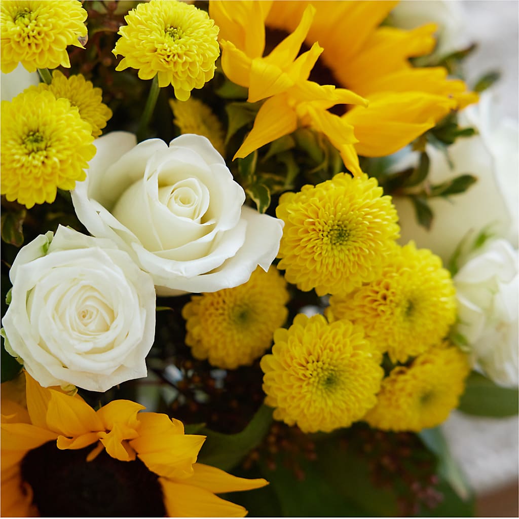 Luminous Morning Bouquet –  Green Room Flowers Llc, Tucson AZ