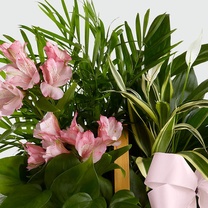 Living Spirit Dishgarden –  Green Room Flowers Llc, Tucson AZ