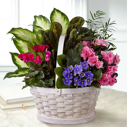 Peaceful Garden Planter –  Green Room Flowers Llc, Tucson AZ
