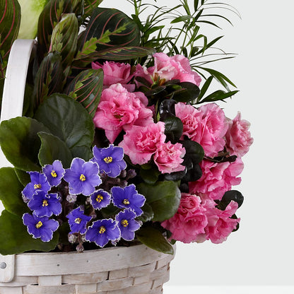 Peaceful Garden Planter –  Green Room Flowers Llc, Tucson AZ