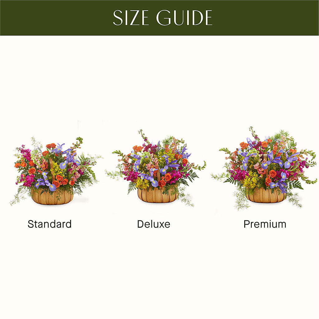 Garden of Life Basket –  Green Room Flowers Llc, Tucson AZ