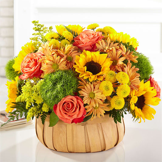 Harvest Sunflower Basket –  Green Room Flowers Llc, Tucson AZ
