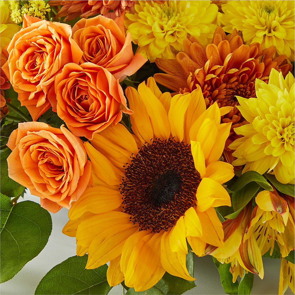 Autumn Harmony Centerpiece –  Green Room Flowers Llc, Tucson AZ